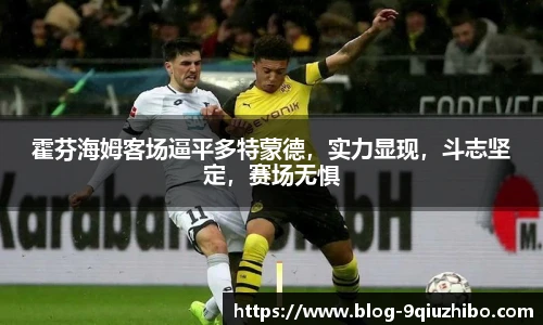霍芬海姆客场逼平多特蒙德，实力显现，斗志坚定，赛场无惧